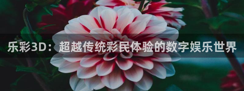 伟德app官网下载