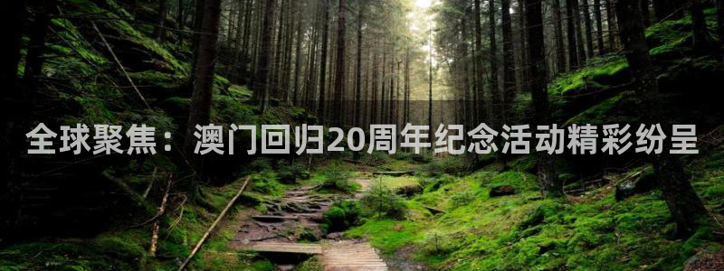 伟德国际1946官网：全球聚焦：澳门回归20周年纪念活动精彩纷呈