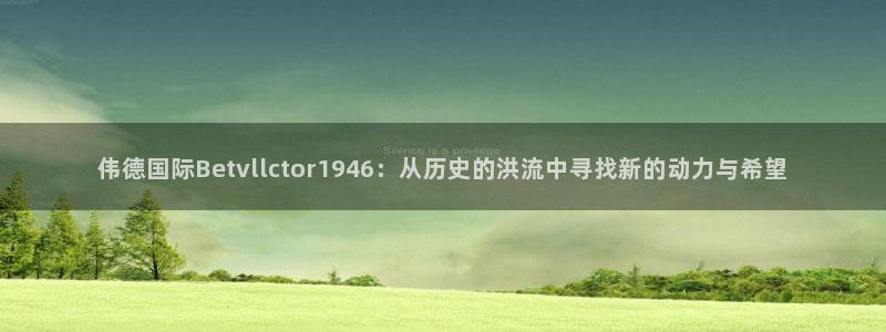 伟德国际公司：伟德国际Betvllctor1946：从历史的洪流中寻找新的动力与希望