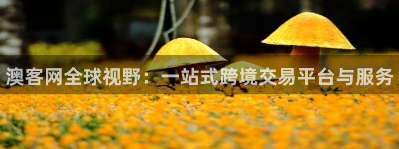 伟德国际是什么意思：澳客网全球视野：一站式跨境交易平台与服务