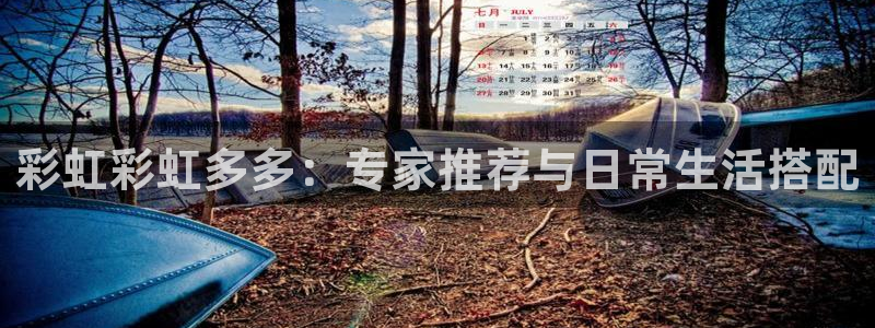 伟德国际betvlctor1946：彩虹彩虹多多：专家推荐与日常生活搭配